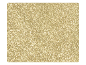 57 Light Gold PU Fabric Swatch 